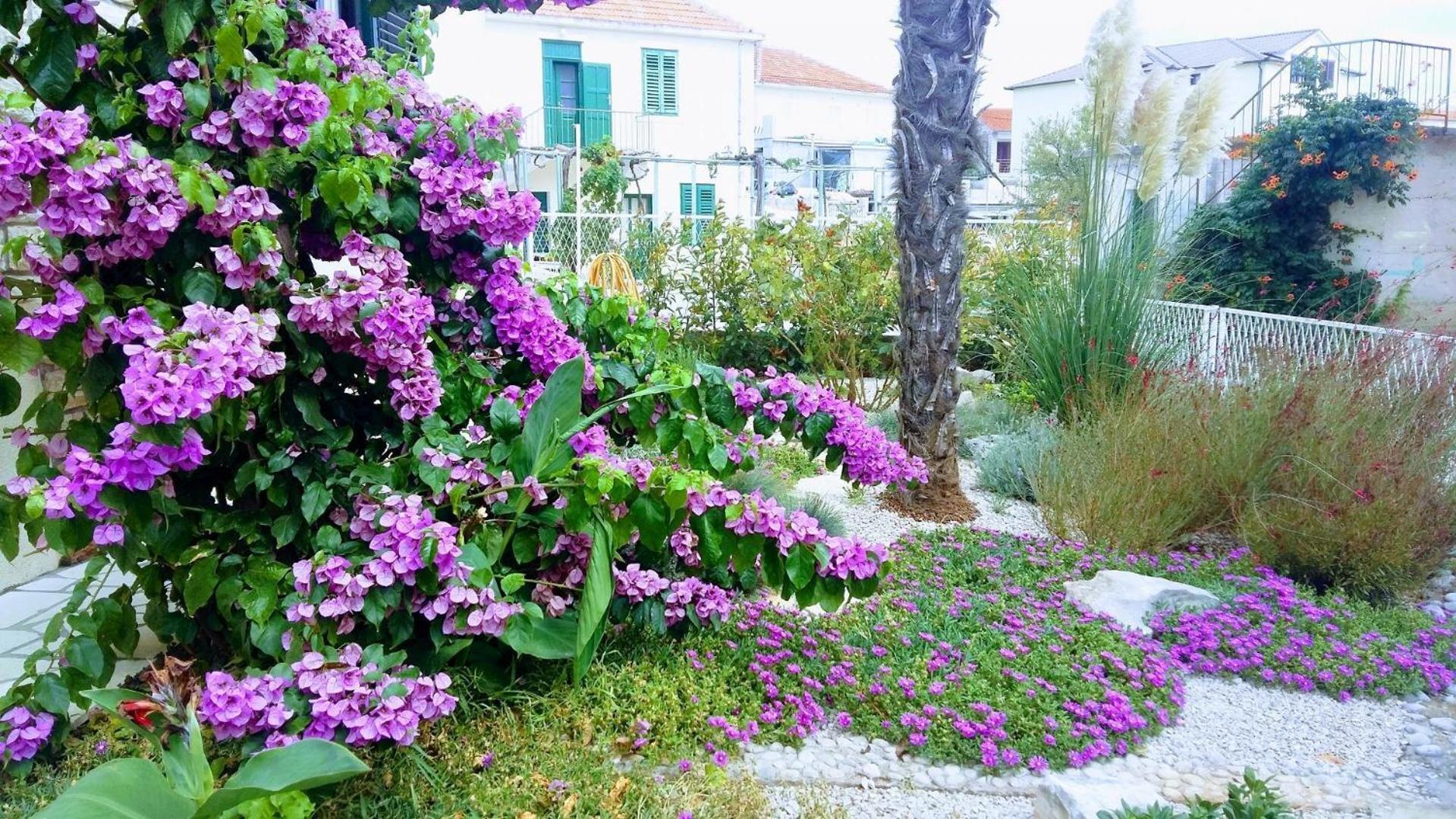 Apartments Mateo - 60M From Sea Primosten Exterior photo
